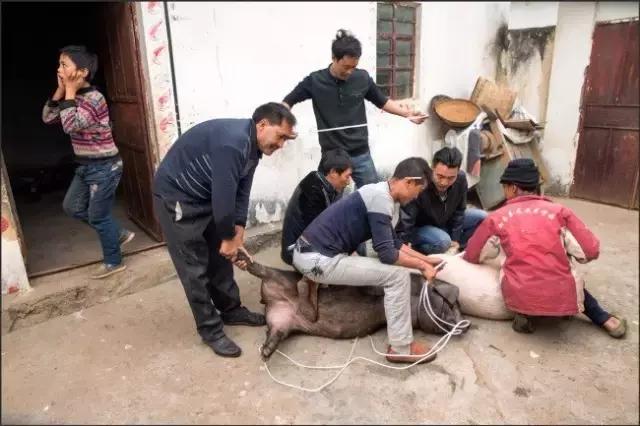 李劲松昭通,昭通李劲松