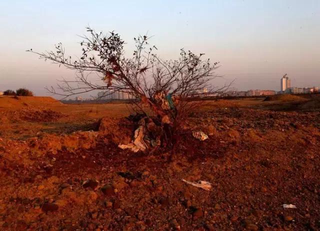 李劲松昭通,昭通李劲松