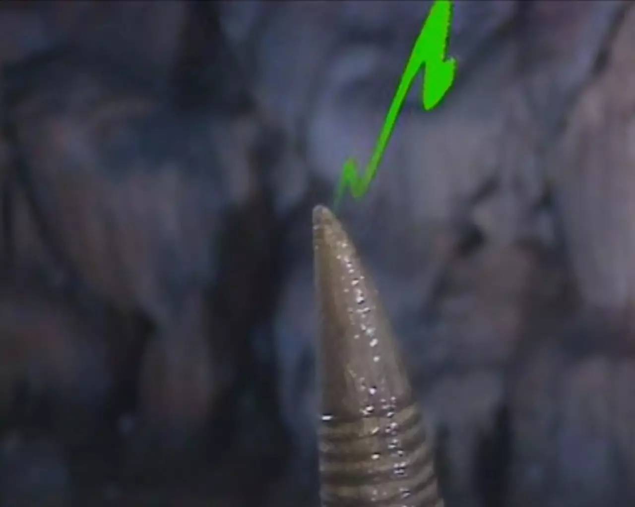 什么样的领导最难搞定,什么样的领导最容易被怼