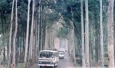 咱们穿越吧最真实的视频,咱们穿越吧魏晋南北朝