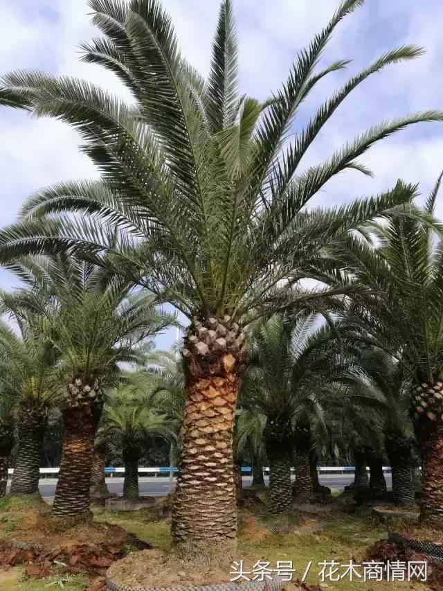 “好苗不愁嫁”,看看房姐如何应对挑剔客户!