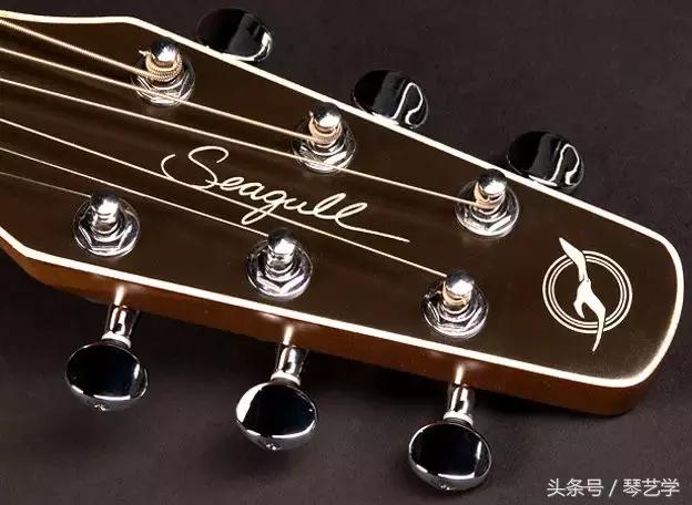 乐器测评琵琶,海鸥必买的17件神器