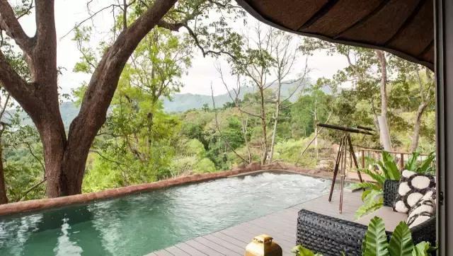 楦熷发搴﹀亣閰掑簵浣撻獙,闅愯棌鍦ㄥ師濮嬫.鏋楃殑娴峰崡楦熷发閰掑簵