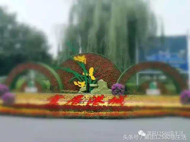 这个时候莆田哪里可以赏花,莆田春天哪里赏花