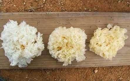 食品添加剂你了解多少？原图对比教你如何辨别有害食品！