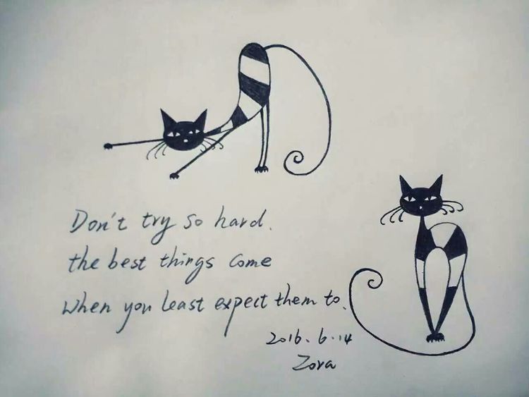 涂鸦的乐趣中班教案反思,涂鸦的乐趣完整版