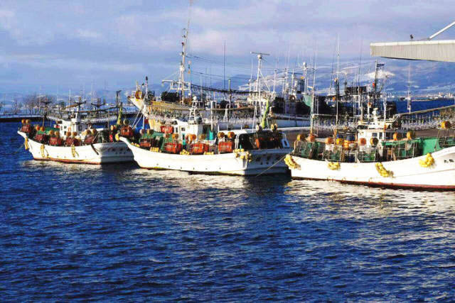 北海道函馆山雪景,冬天北海道函馆