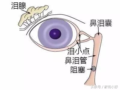 婴儿出生没有睁眼睛怎么回事,婴儿出生第一天没睁开眼睛正常吗