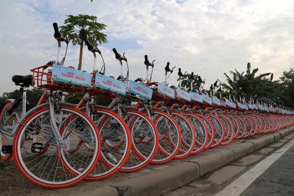 蹬动感单车月入百万,摩拜单车赚钱了吗