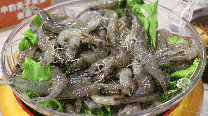 泉州性价比最高的自助火锅,泉州10元自助小火锅