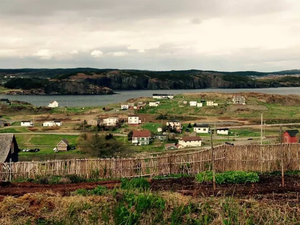 还没来得及到加拿大？那就跟着电影先看看吧！