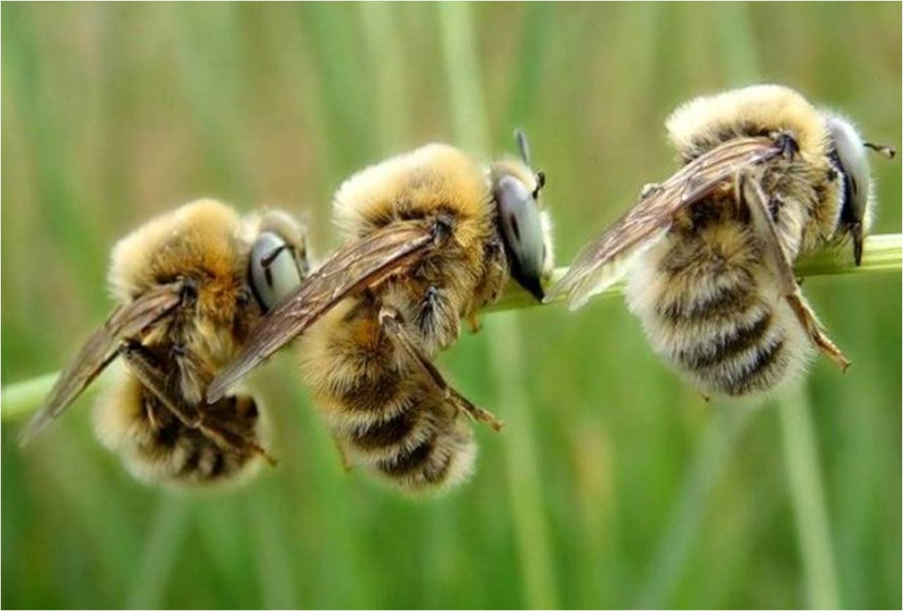 成功人生的经商哲学,事不过三的商业哲学