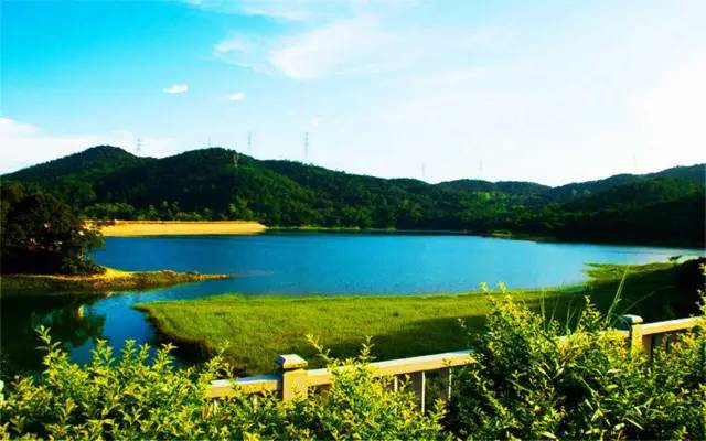 厦门有哪些山峰,厦门哪些山可以爬的