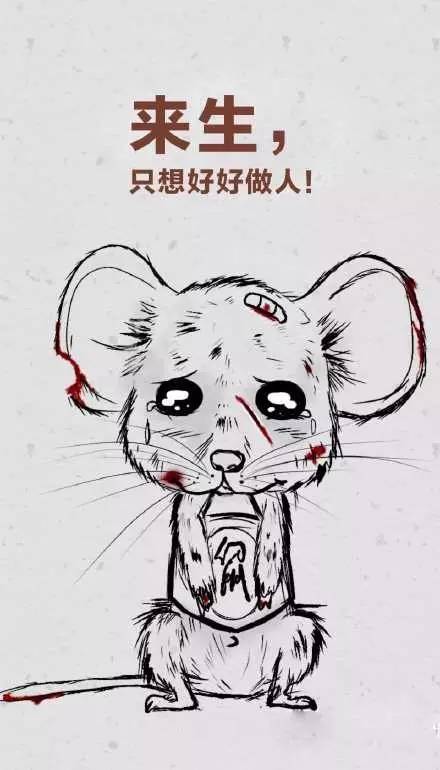 今天这只偷花生的老鼠火了，网友这次都站老鼠
