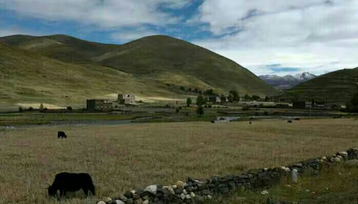 看完这些摄影作品点评，你的摄影技能会有大幅提升