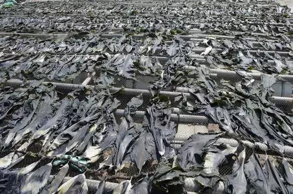 福建汀州土特产,福建零食特产有哪些