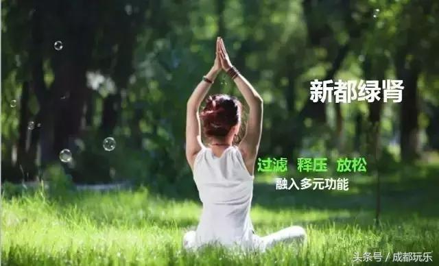 成都市新都区未来怎么样,成都新都区的未来