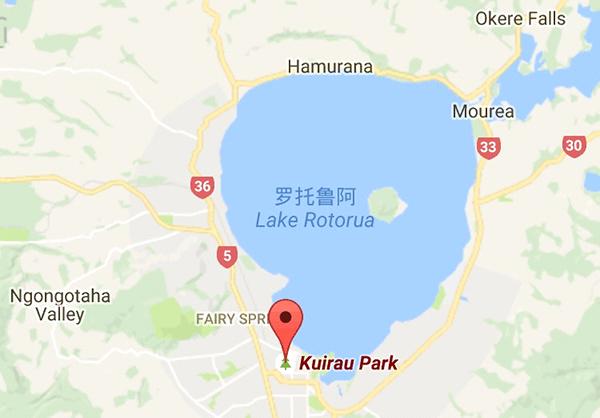 新西兰特色动物有哪些,新西兰奇异动物有哪些