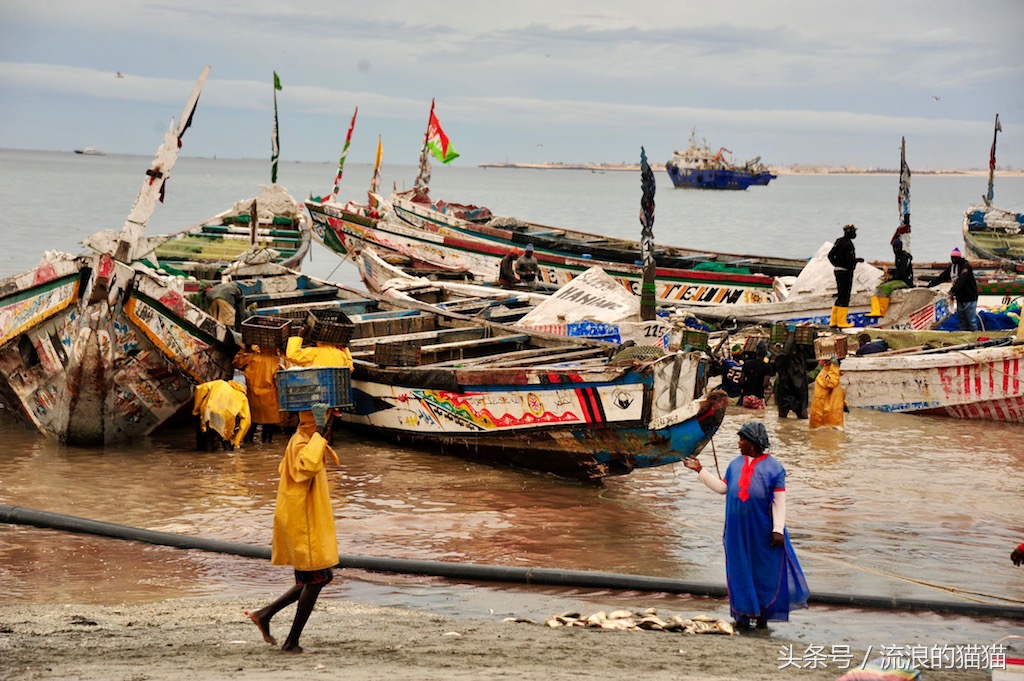 毛里塔尼亚，这个以肥为美的神奇国度究竟是什么样的？
