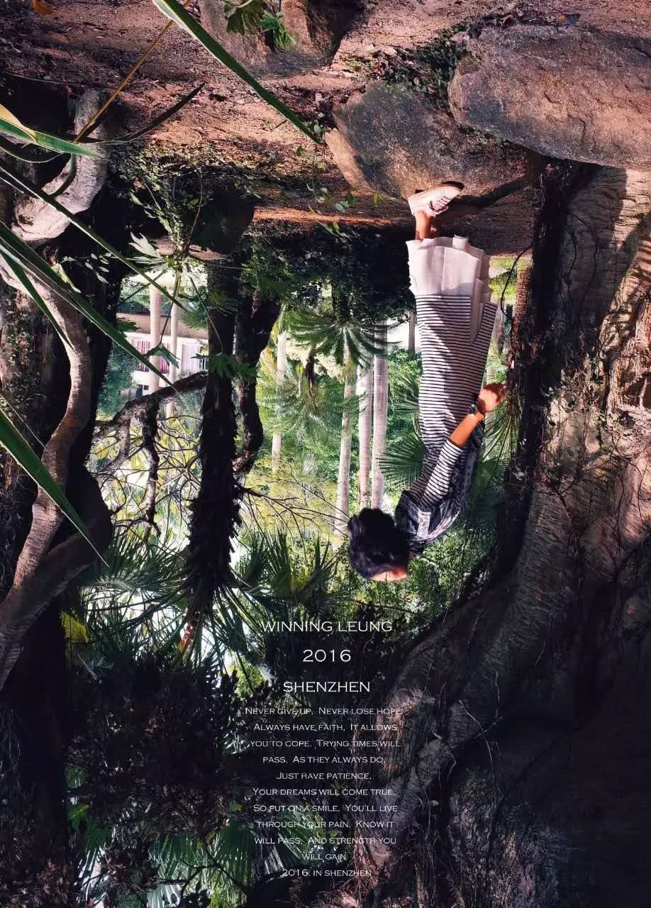 入门摄影卡片机推荐,街拍卡片机推荐