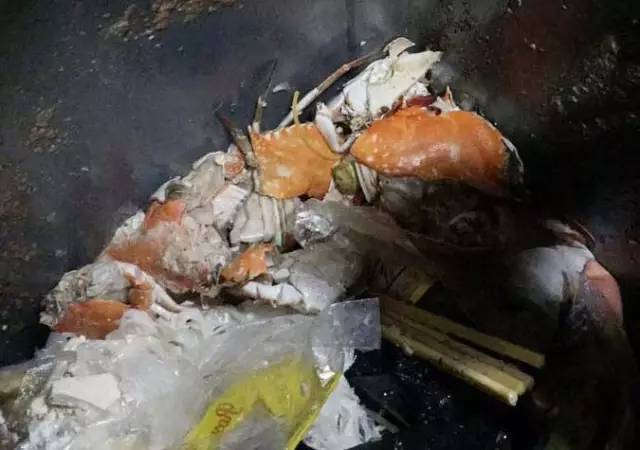 长春假螃蟹,网友爆料买到假螃蟹螃蟹里有一层