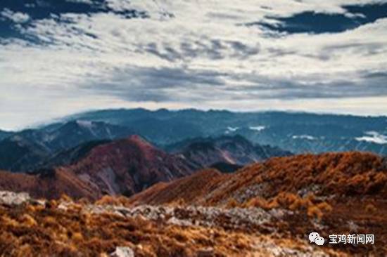 1月14日新闻摘抄,1月14日新闻主要内容