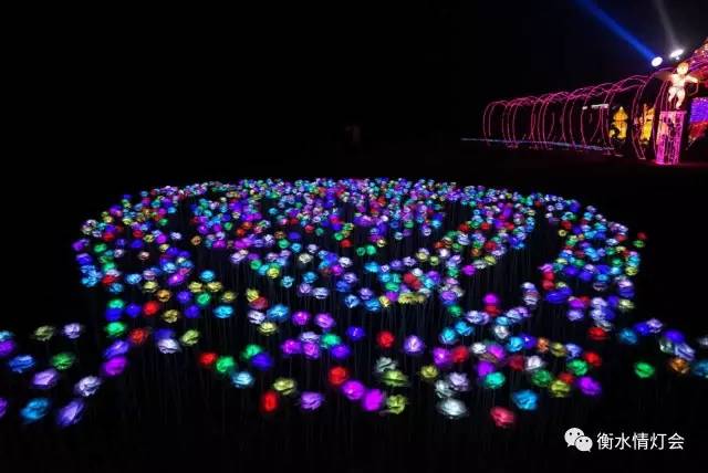 衡水电视台晚会,衡水电视台春节联欢晚会2024年