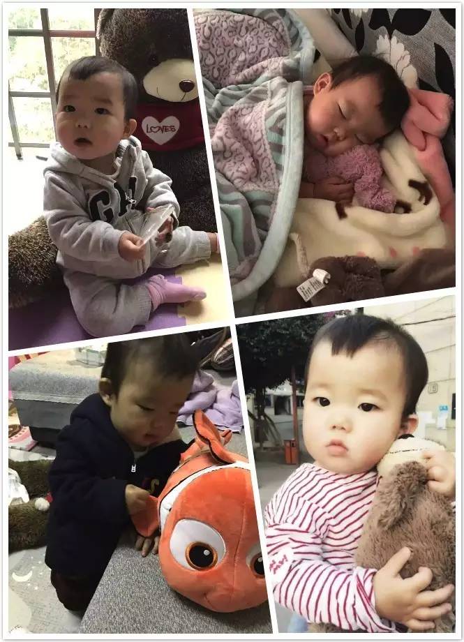 读者来稿丨抱着邦尼兔睡觉、拎着定型枕逛街、在公园里给土豆推秋千……小朋友的安抚物大集合！