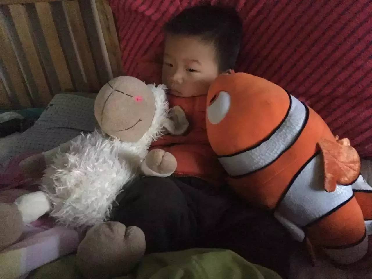 读者来稿丨抱着邦尼兔睡觉、拎着定型枕逛街、在公园里给土豆推秋千……小朋友的安抚物大集合！