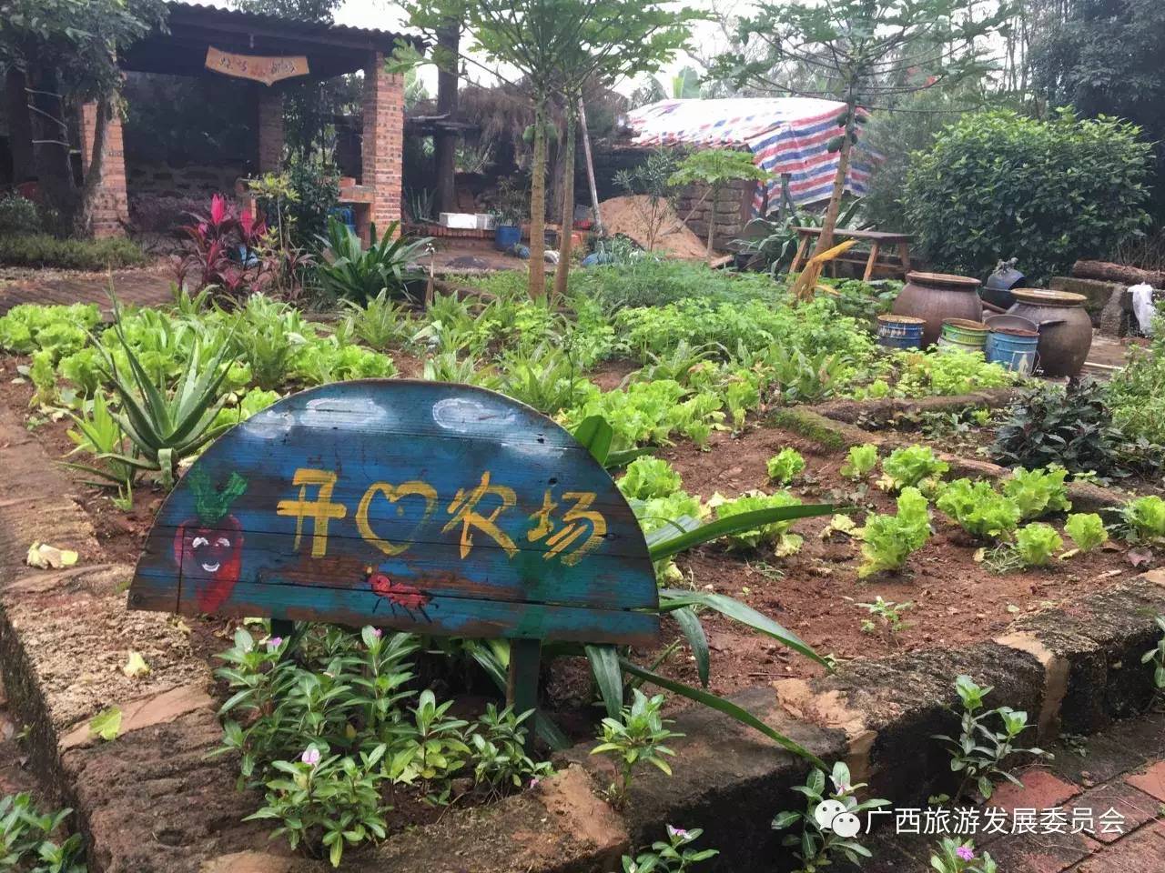 温暖人心的中国故事,感人的中国小故事