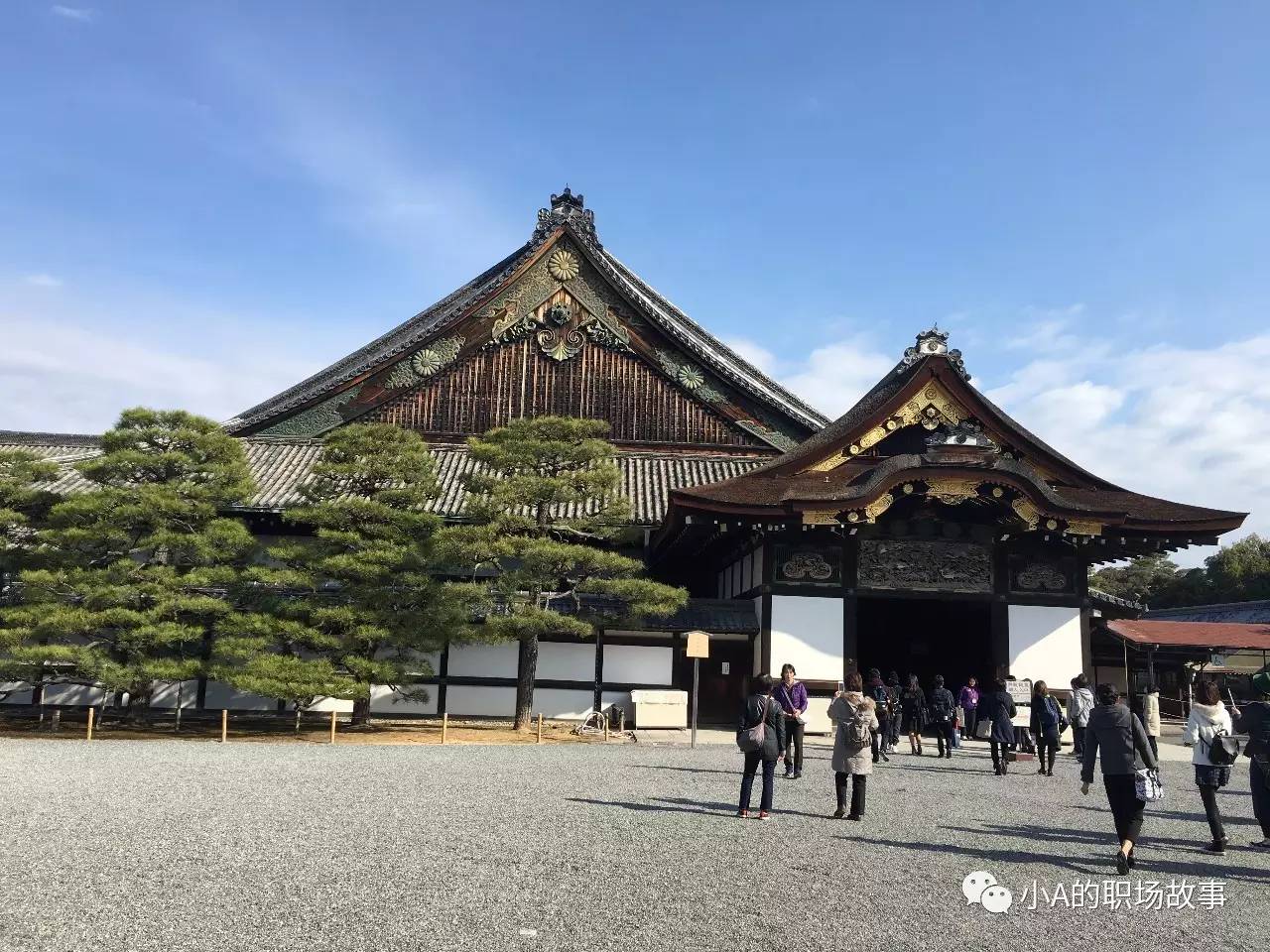 大阪京都五日游攻略大全,攻略318