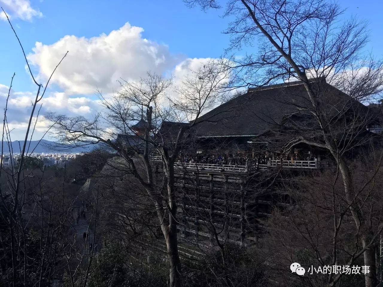 最全318攻略,京都大阪北海道9天