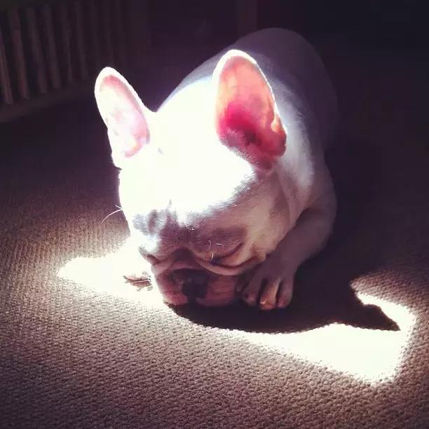 有个喜欢你的女生,有个喜欢的人真好