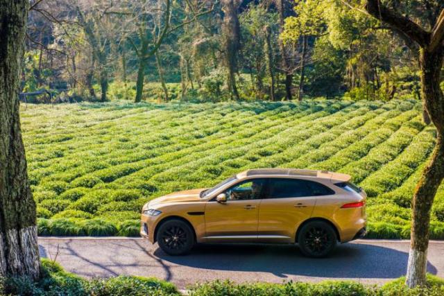 新款捷豹F-PACE测评,捷豹suv车型f-pace越野测试