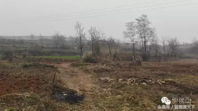 钟灵秀小说,钟灵秀视频