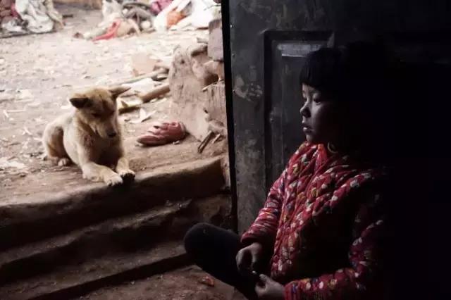 李劲松昭通,昭通李劲松