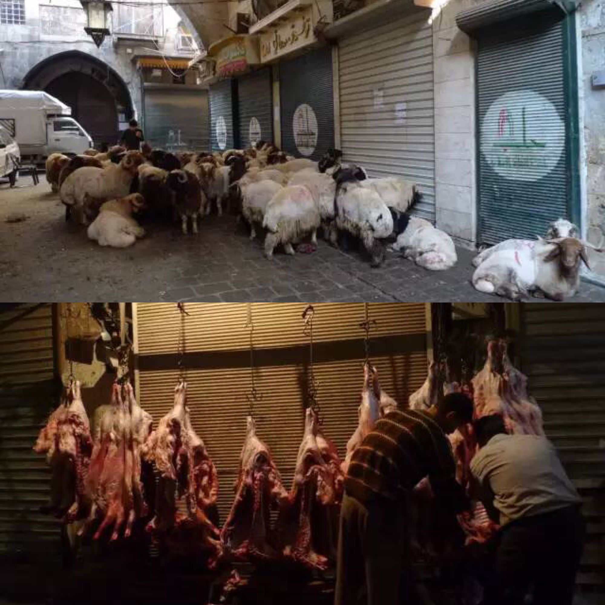 战乱中叙利亚为什么如此重要,战乱中的叙利亚城市