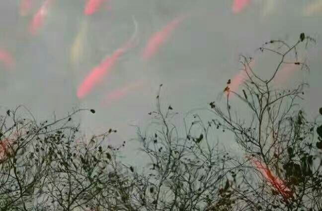 给摄影爱好者的十二条摄影经验,看完这组摄影作品你还淡定吗