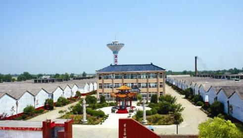 临泉县谭棚镇蔡文姬,蔡文姬临泉县