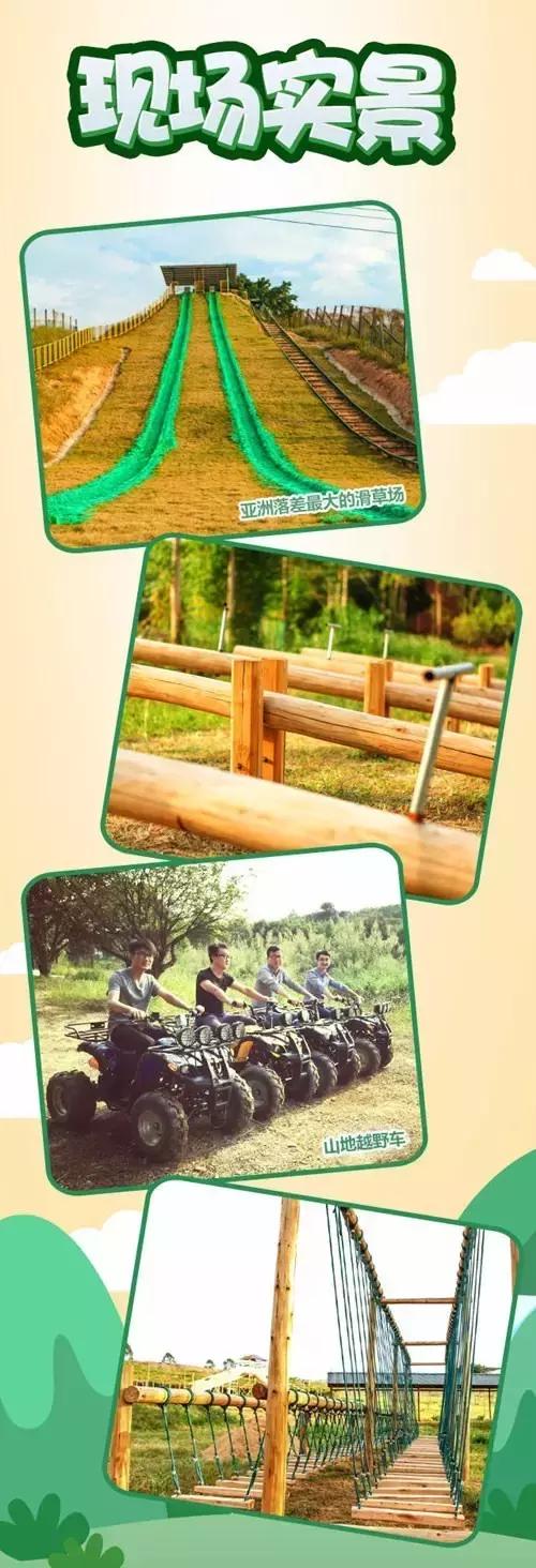 清远最美的花海在什么景点,广东清远花海风景