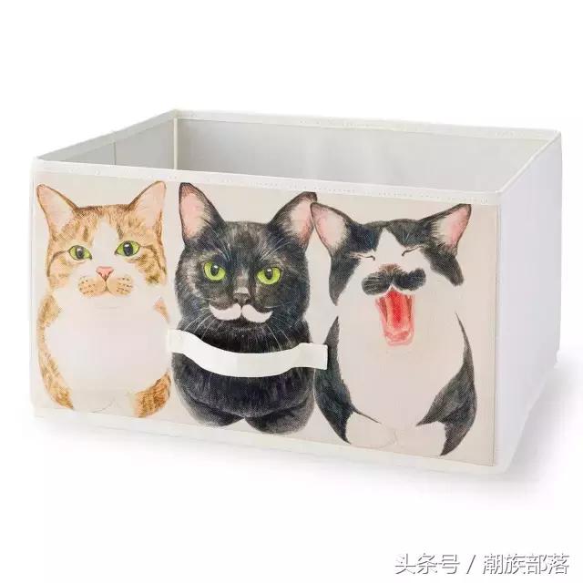 猫控营养补充剂,猫控