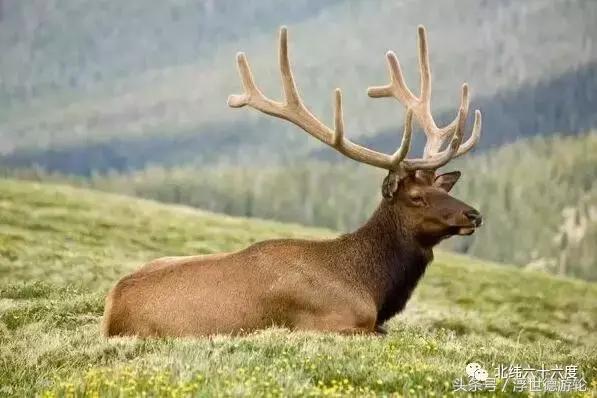 去北欧最值得购买的东西，无需攻略，一次全部告诉你！