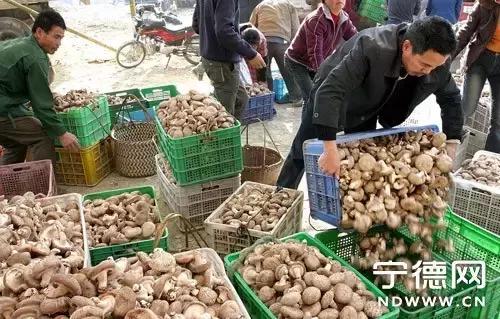 福建汀州土特产,福建零食特产有哪些