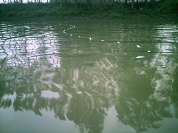 古老抓鱼方式,小时候抓鱼的视频大全