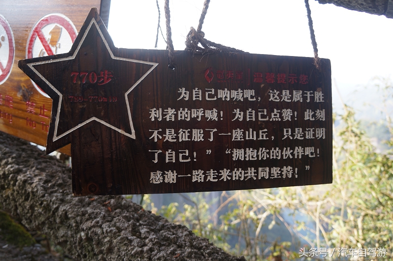 武夷山2日游线路,武夷山两日游团价格表