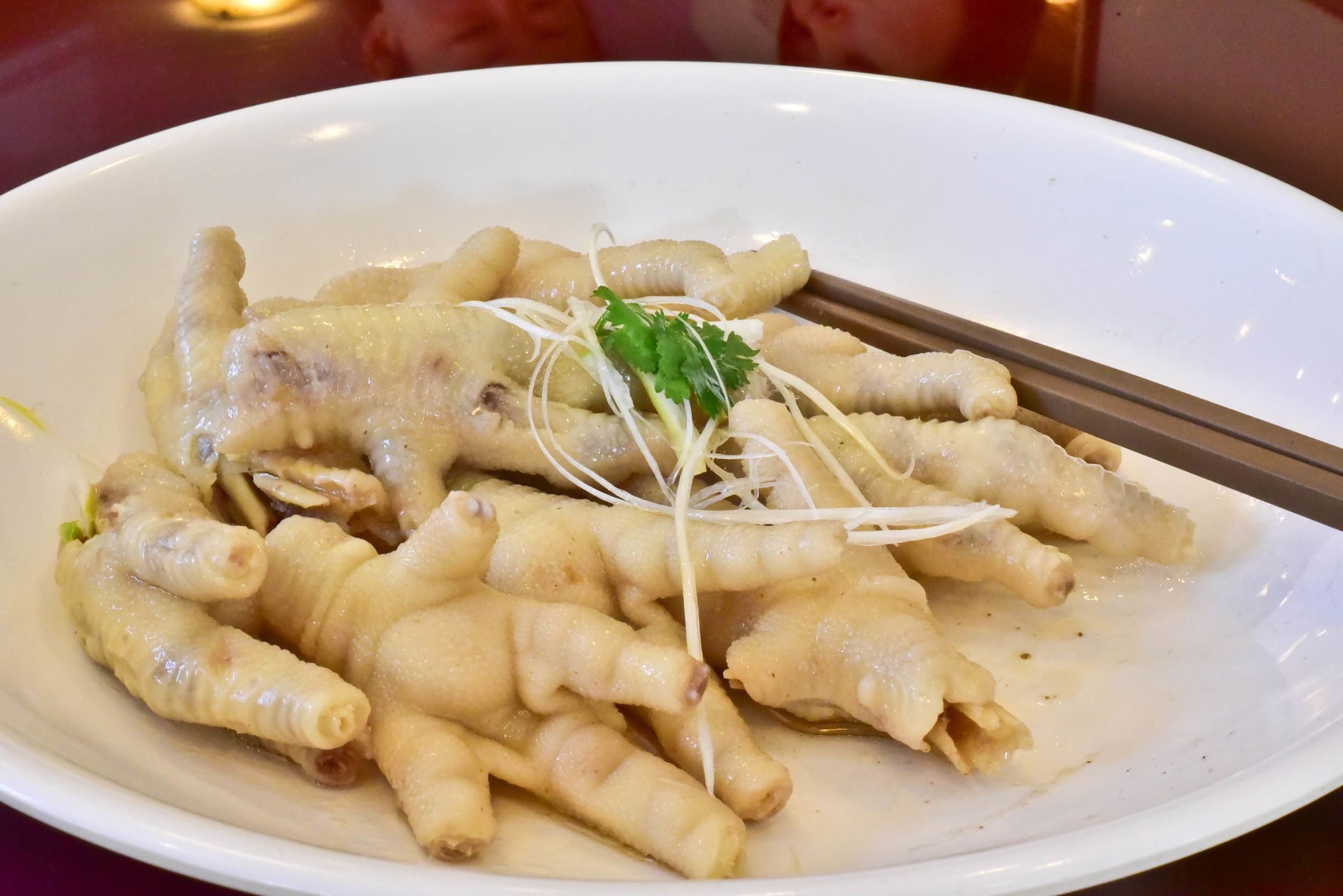 兔子游云南,兔子游老君山视频