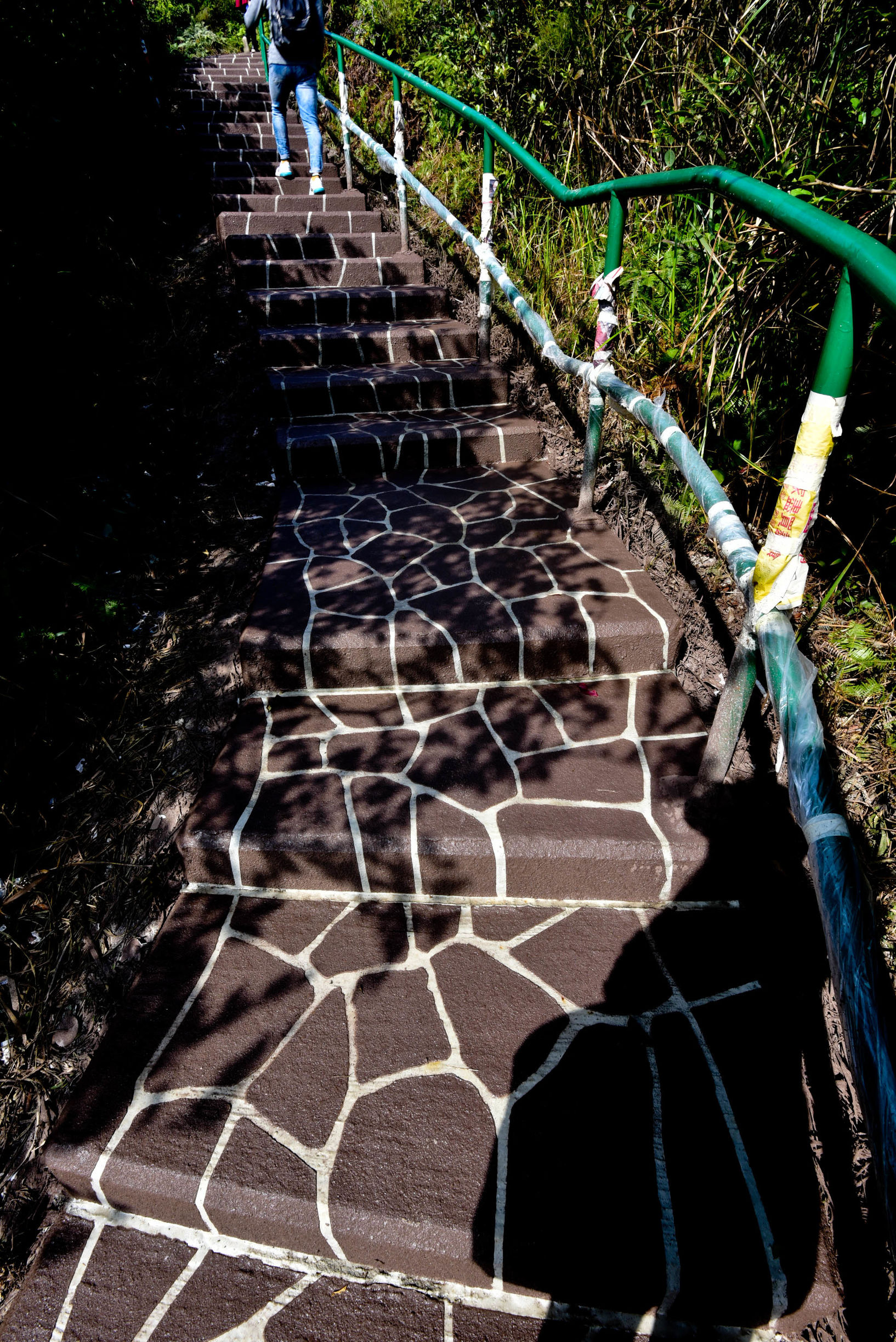 兔子游云南,兔子游老君山视频