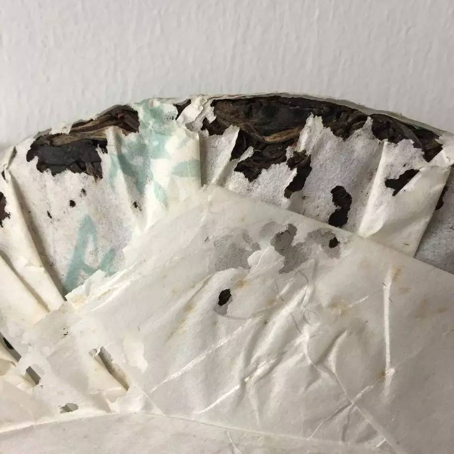 微观茶市丨古茶树安装GPS定位意义何在？