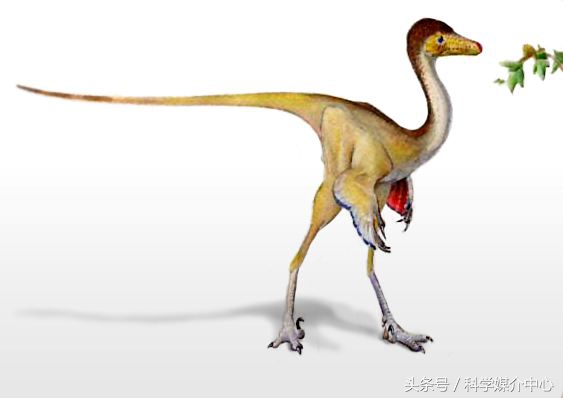 食草恐龙有什么种类,中国棘龙科恐龙种类