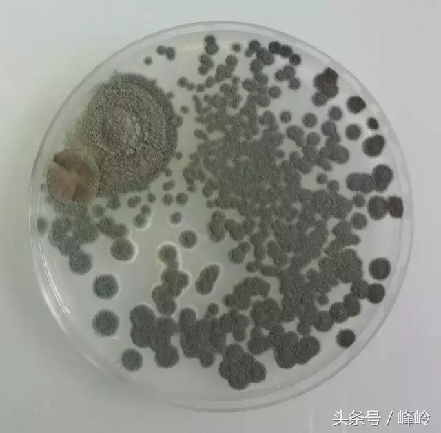 最近卖的比较火的儿童玩具,最近卖的很火的儿童玩具